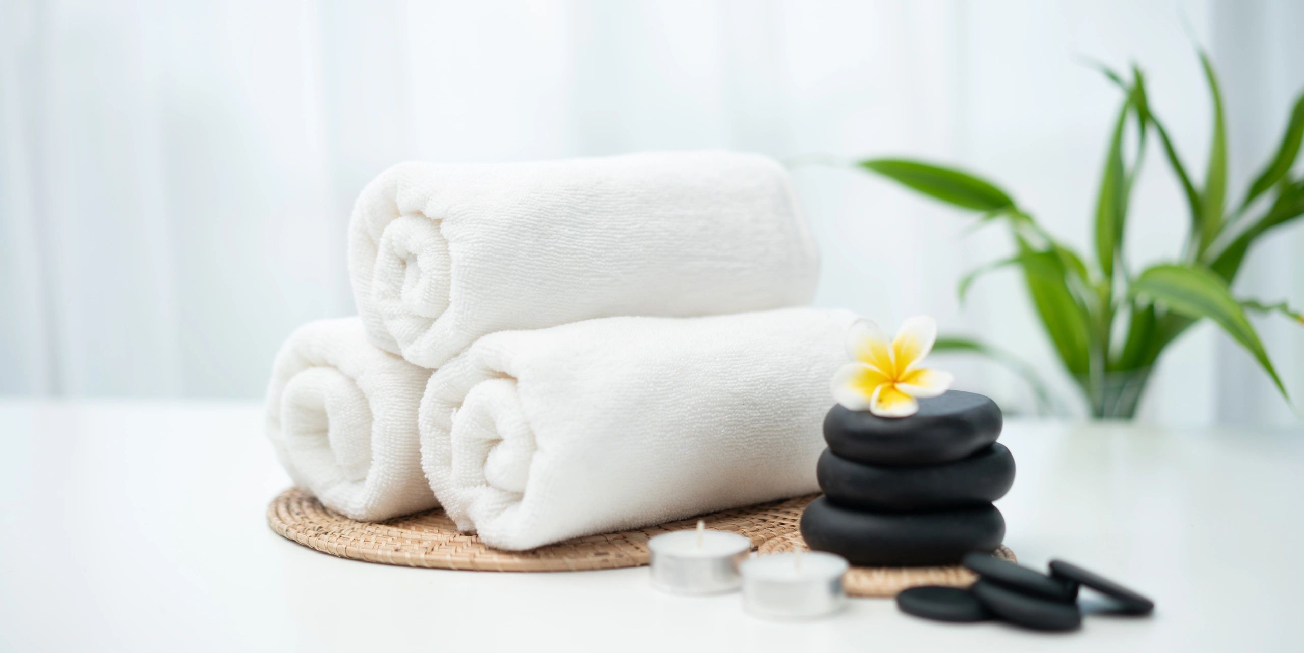 Botanical spa setting with herbs and stones, suggesting calming holistic care